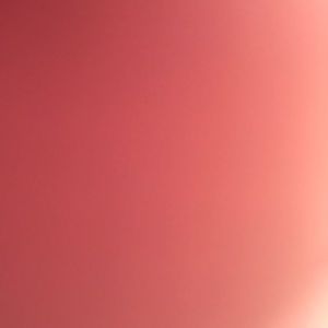 Meet your Posher, Riley